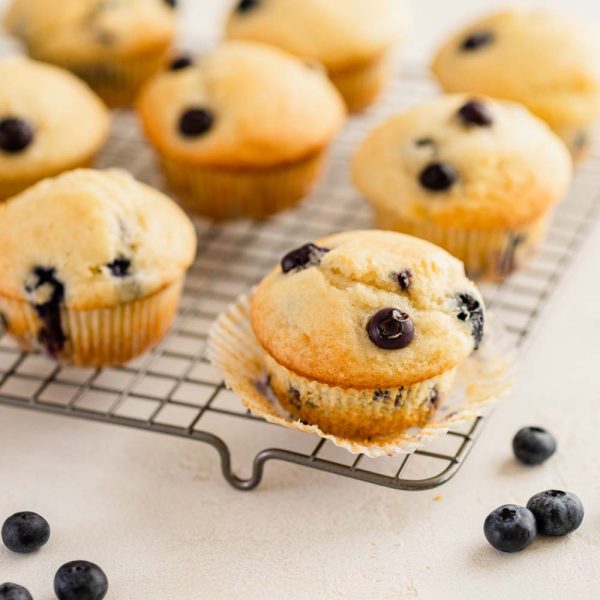 Muffins aux bleuets