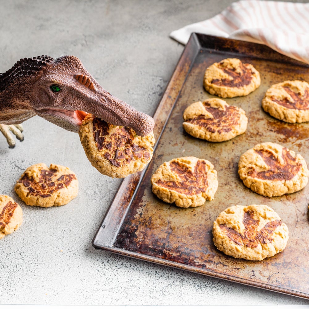 Dino Fossil Cookies - Splenda®