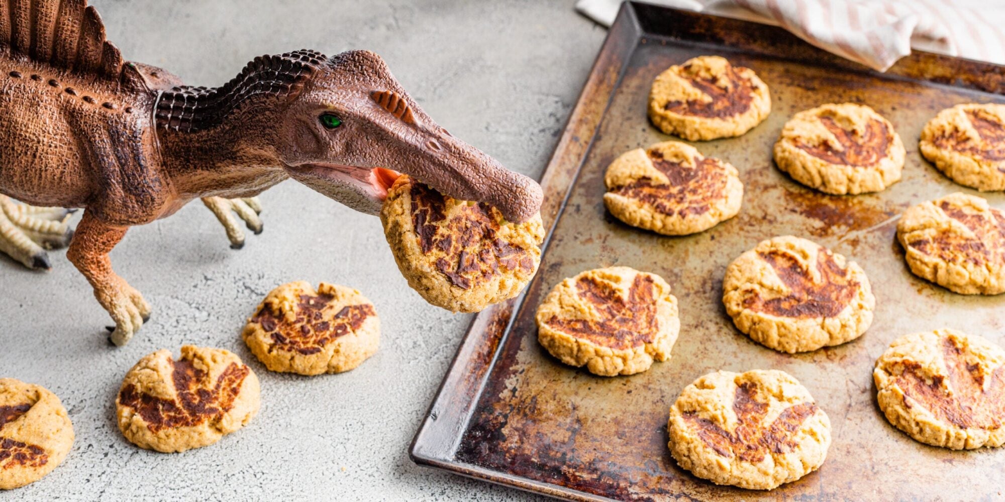 Biscuits Dino Fossil